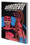 DAREDEVIL: LONE STRANGER (TRADE PAPERBACK)
